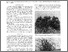 [thumbnail of Post-Fire Regrowth of Adenostoma fasciculatum h. and a. and Ceanothus crassifolius torr. in Relation to Ecology and Origins.pdf]